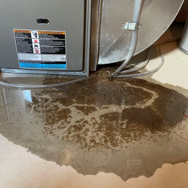Appliance Leak Cleanup in Westland, MI