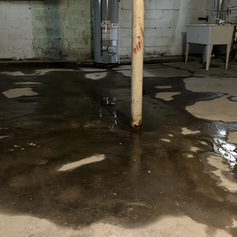 Emergency Water Extraction And Removal in Westland, MI